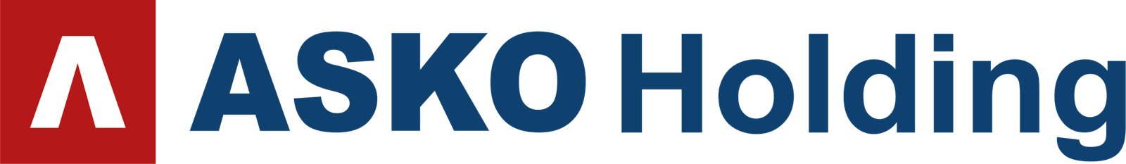 Asko Holding
